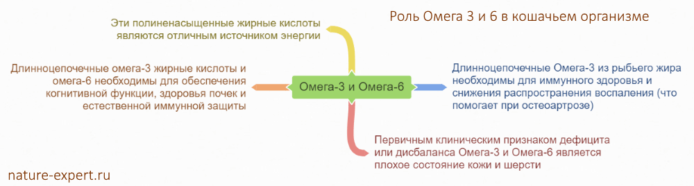 Диаграмма Роль Омега 3 и 6 в кошачьем организме