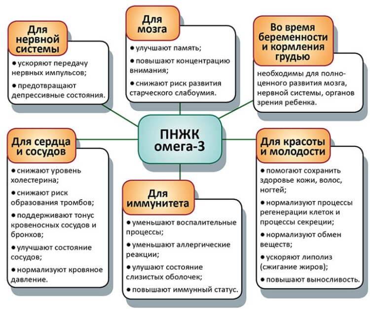Диаграмма о влиянии Омега-3 на организм